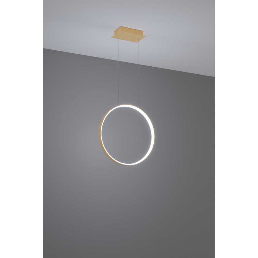 Thoro TH.221 - LED Pakabinamas sietynas RIO LED/30W/230V CRI 95 4000K diametras 55 cm auksas