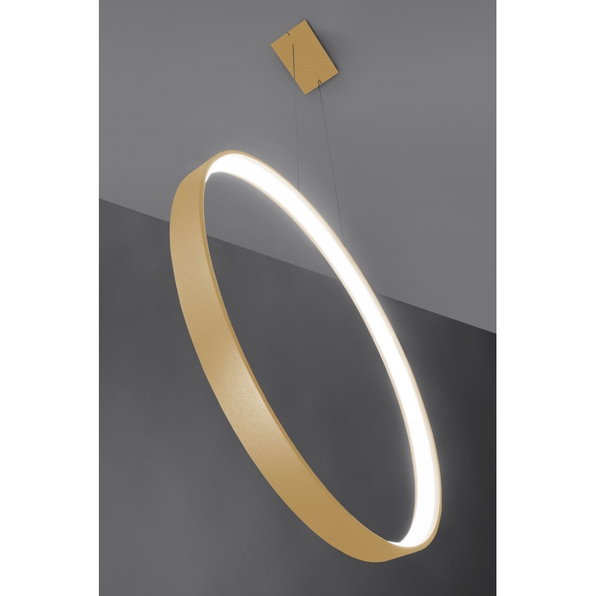 Thoro TH.221 - LED Pakabinamas sietynas RIO LED/30W/230V CRI 95 4000K diametras 55 cm auksas