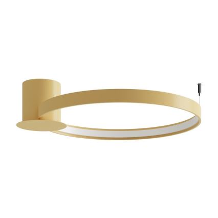 Thoro TH.222 - LED lubinis šviestuvas RIO LED/30W/230V CRI 90 3000K diametras 55 cm auksas