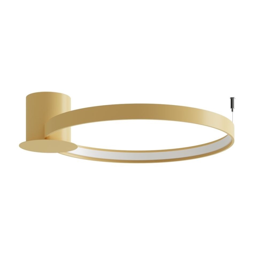 Thoro TH.222 - LED lubinis šviestuvas RIO LED/30W/230V CRI 90 3000K diametras 55 cm auksas