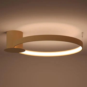 Thoro TH.222 - RIO lubinis LED šviestuvas, 21 W, 230 V, CRI 98, 3000 K, Ø 55 cm, auksinis