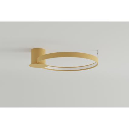 Thoro TH.223 - LED lubinis šviestuvas RIO LED/30W/230V CRI 95 4000K diametras 55 cm auksas
