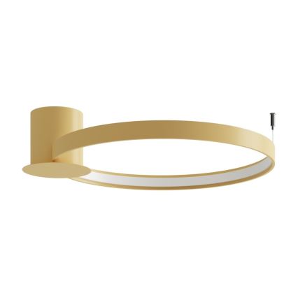 Thoro TH.223 - LED lubinis šviestuvas RIO LED/30W/230V CRI 95 4000K diametras 55 cm auksas