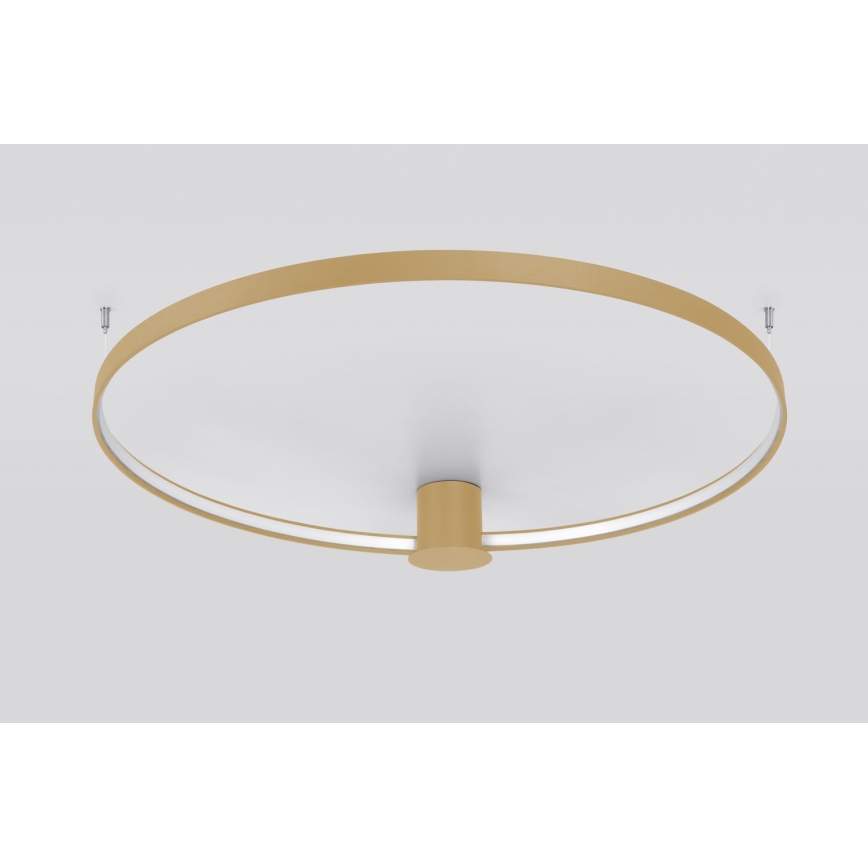 Thoro TH.223 - LED lubinis šviestuvas RIO LED/30W/230V CRI 95 4000K diametras 55 cm auksas