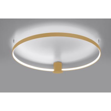 Thoro TH.223 - LED lubinis šviestuvas RIO LED/30W/230V CRI 95 4000K diametras 55 cm auksas