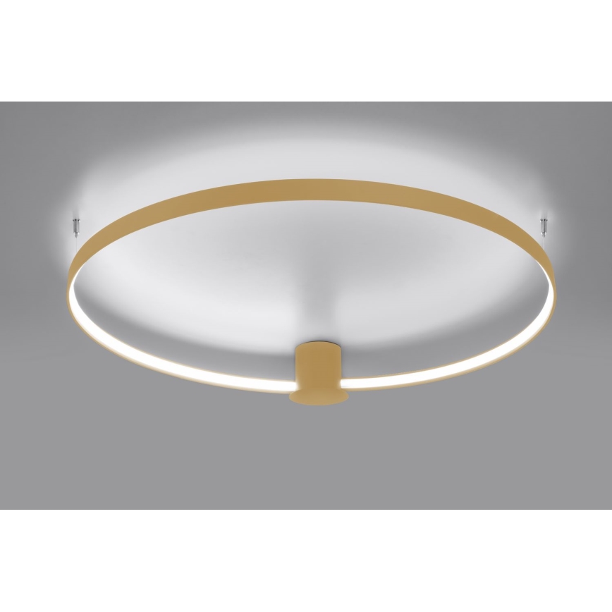 Thoro TH.223 - LED lubinis šviestuvas RIO LED/30W/230V CRI 95 4000K diametras 55 cm auksas