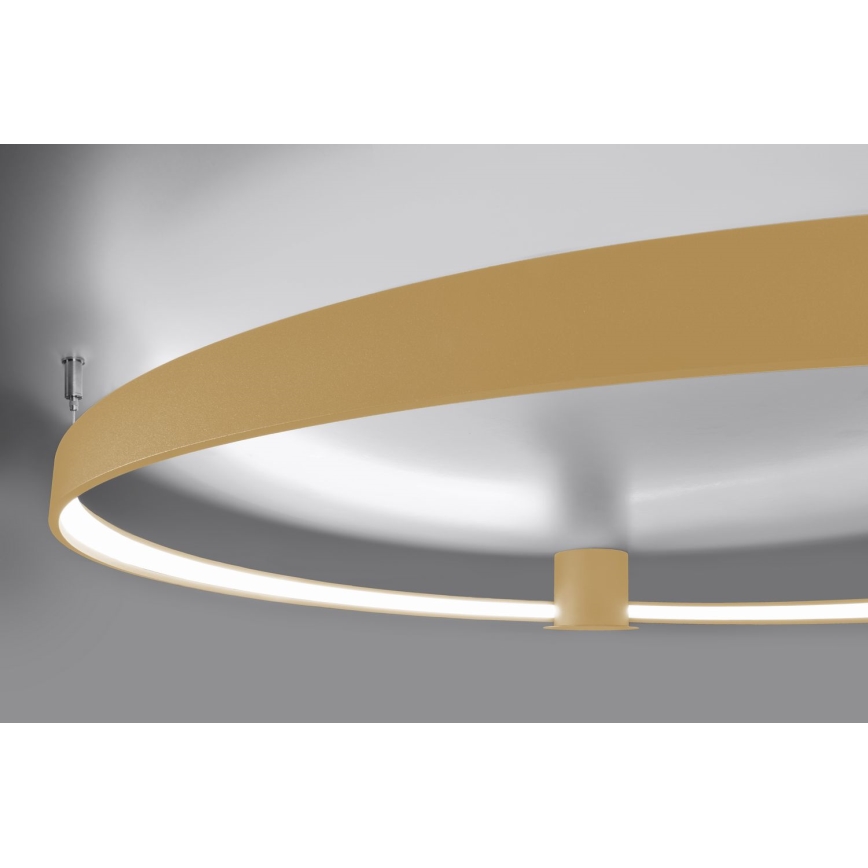 Thoro TH.223 - LED lubinis šviestuvas RIO LED/30W/230V CRI 95 4000K diametras 55 cm auksas