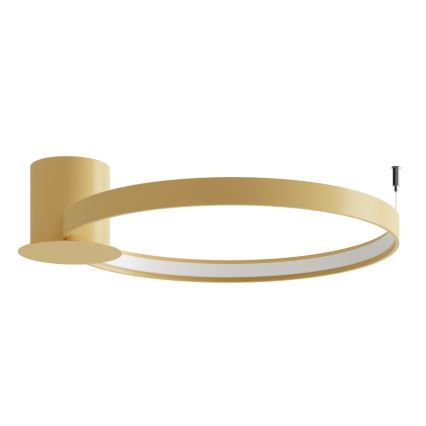 Thoro TH.223 - LED lubinis šviestuvas RIO LED/30W/230V CRI 98 4000K skersmuo 55 cm auksinis