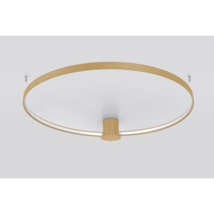 Thoro TH.224 - LED lubinis šviestuvas RIO LED/50W/230V CRI 90 3000K diametras 78 cm auksas