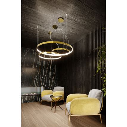 Thoro TH.246 - LED Pakabinamas sietynas RIO LED/50W/230V CRI 90 3000K diametras 78 cm auksas