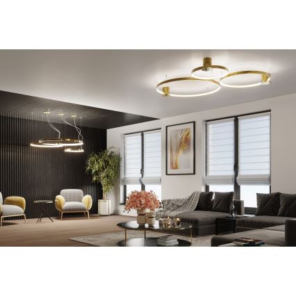 Thoro TH.246 - LED Pakabinamas sietynas RIO LED/50W/230V CRI 90 3000K diametras 78 cm auksas