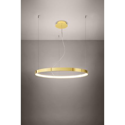 Thoro TH.246 - LED Pakabinamas sietynas RIO LED/50W/230V CRI 90 3000K diametras 78 cm auksas