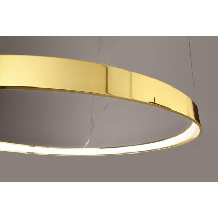 Thoro TH.246 - LED Pakabinamas sietynas RIO LED/50W/230V CRI 90 3000K diametras 78 cm auksas