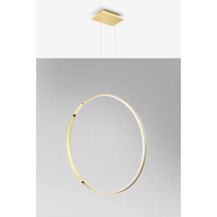 Thoro TH.248 - LED Pakabinamas sietynas RIO LED/50W/230V CRI 90 3000K diametras 78 cm auksas