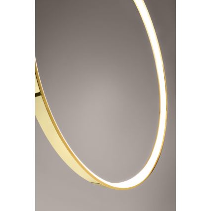 Thoro TH.248 - LED Pakabinamas sietynas RIO LED/50W/230V CRI 90 3000K diametras 78 cm auksas
