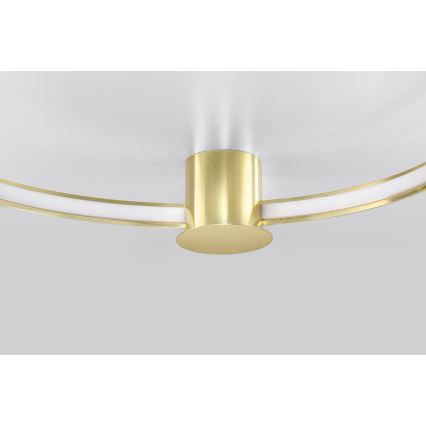 Thoro TH.252 - LED lubinis šviestuvas RIO LED/50W/230V CRI 90 3000K diametras 78 cm auksas