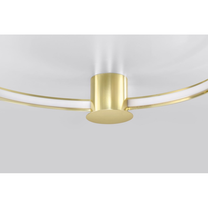 Thoro TH.252 - LED lubinis šviestuvas RIO LED/50W/230V CRI 90 3000K diametras 78 cm auksas