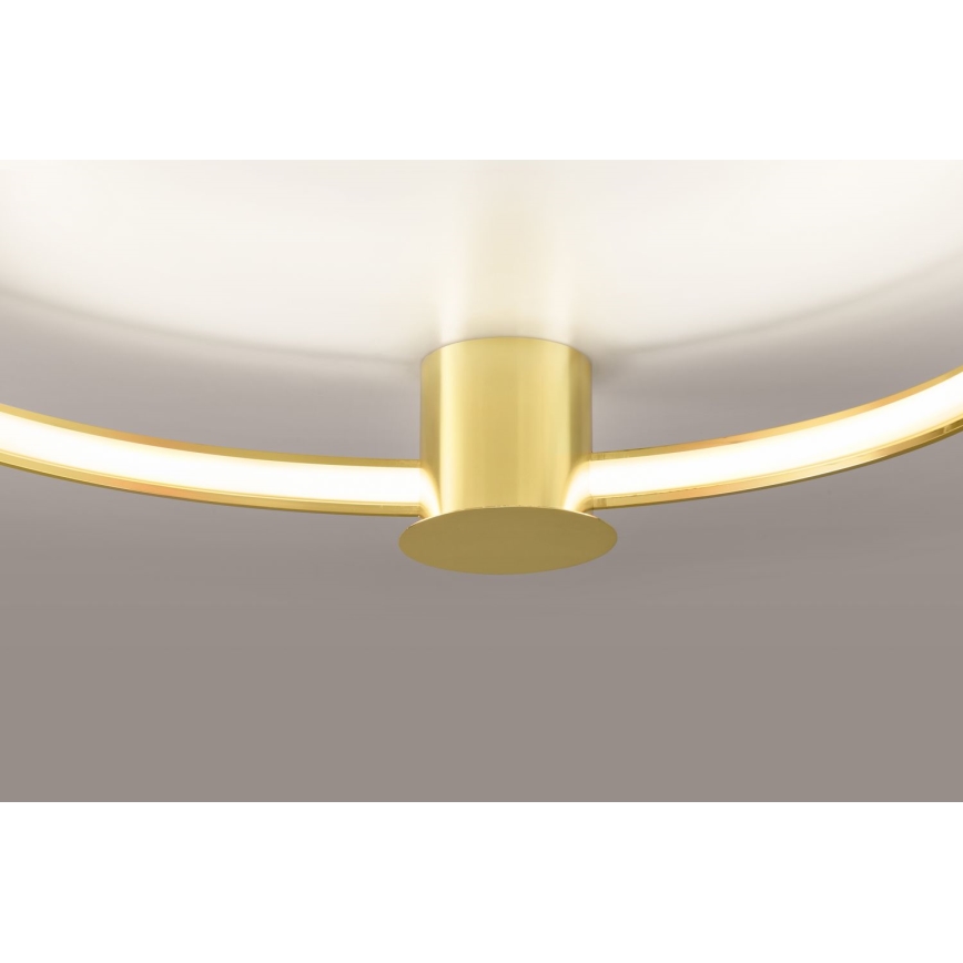 Thoro TH.252 - LED lubinis šviestuvas RIO LED/50W/230V CRI 90 3000K diametras 78 cm auksas