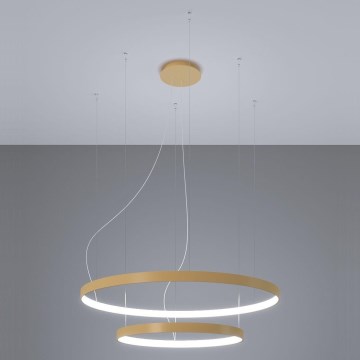 Thoro TH.268 - LED šviestuvas ant laido RIO LED/80W/230V CRI 95 4000K auksinė