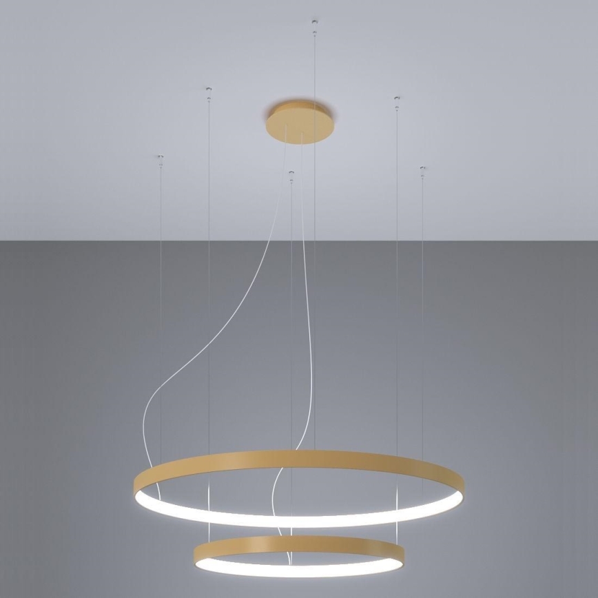 Thoro TH.268 - LED šviestuvas ant laido RIO LED/80W/230V CRI 95 4000K auksinė