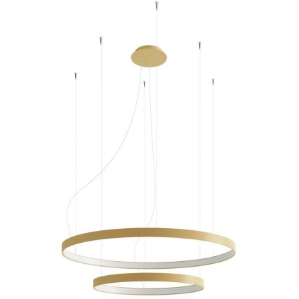 Thoro TH.268 - LED šviestuvas ant laido RIO LED/80W/230V CRI 95 4000K auksinė
