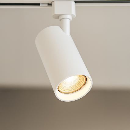 TIGER bėginei sistemai skirtas taškinis šviestuvas, 3xGU10/10W/230V, baltas
