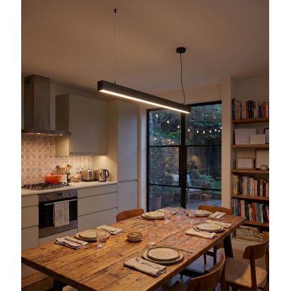 Top Light - LED paviršinis arba pakabinamas lubų šviestuvas HORIZON LED/40W/230V 3000/4000/6500K juodas