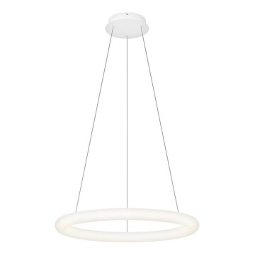 Top Light - LED dimeriuojamas pakabinamas šviestuvas ant laido RINGO LED/40W/230V 3000-6500K balta + nuotolinis valdymas
