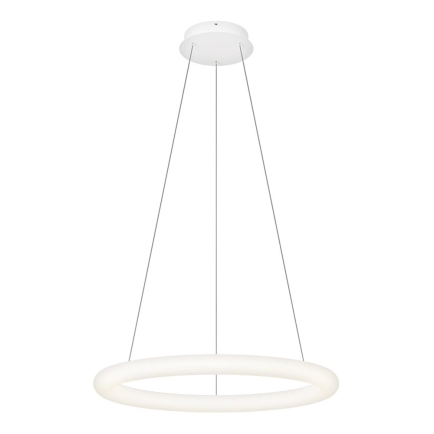 Top Light - LED dimeriuojamas pakabinamas šviestuvas ant laido RINGO LED/40W/230V 3000-6500K balta + nuotolinis valdymas