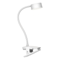 Top Light - LED Dimeruojama lietimui jautri stalynė lempa su spaustuku BELLA LED/4,8W/5V 3000-6500K balta