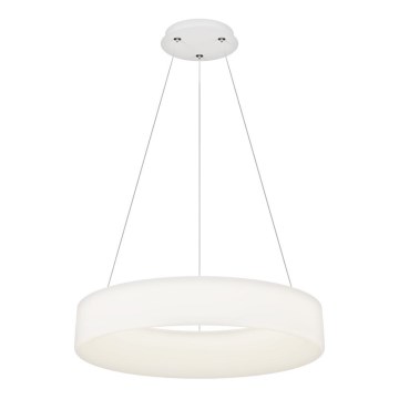 Top Light - LED Dimmable lustr na kabel HALO LED/60W/230V 3000-6500K pr. 60 cm + dálkové ovládání