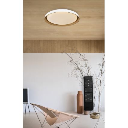 Top Light - LED Pritemdomas lubinis šviestuvas SATELLITE LED/48W/230V 3000-6500K diametras 53 cm balta/ruda + nuotolinio valdymo pultas