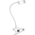 Top Light - LED Reguliuojama jutiklinė stal lampą su segtuku BELLA LED/4,8W/5V 3000-6500K balta