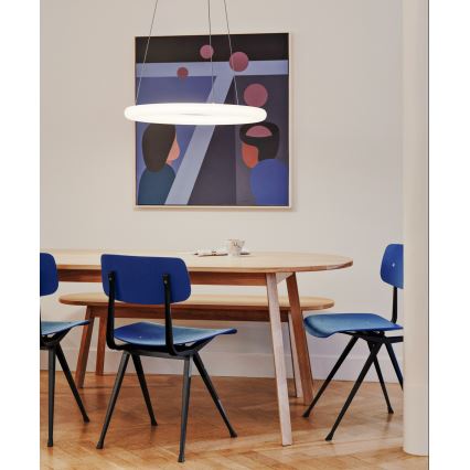 Top Light - LED dimeriuojamas pakabinamas šviestuvas ant laido RINGO LED/40W/230V 3000-6500K balta + nuotolinis valdymas