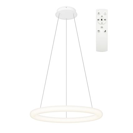 Top Light - LED dimeriuojamas pakabinamas šviestuvas ant laido RINGO LED/40W/230V 3000-6500K balta + nuotolinis valdymas
