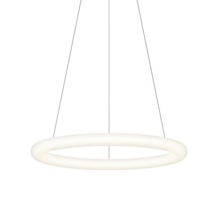 Top Light - LED dimeriuojamas pakabinamas šviestuvas ant laido RINGO LED/40W/230V 3000-6500K balta + nuotolinis valdymas