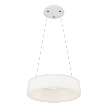Top Light - LED Reguliuojama pakabinama lempa HALO LED/40W/230V 3000-6500K 44 cm + nuotolinis valdymas