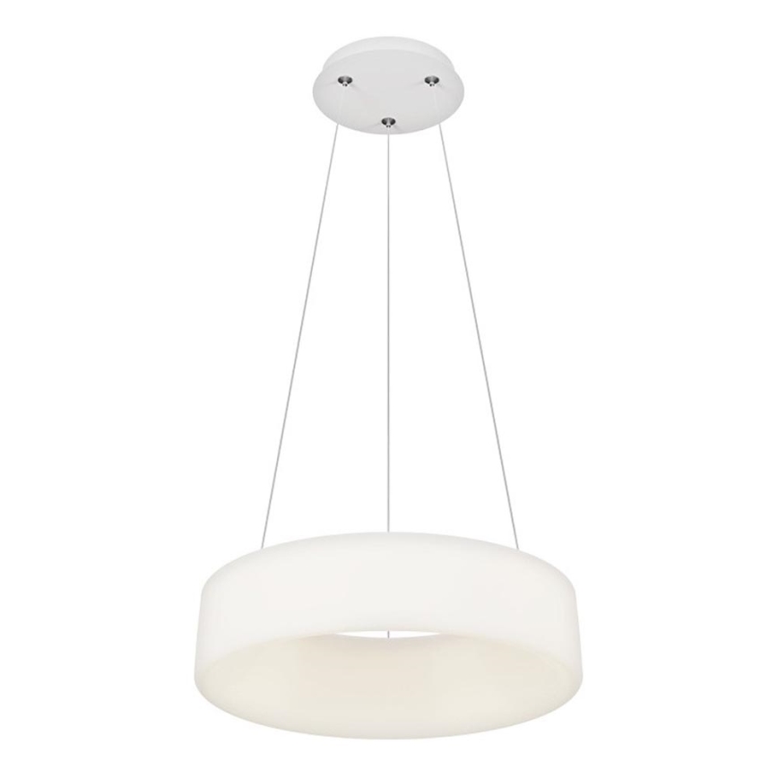 Top Light - LED Reguliuojama pakabinama lempa HALO LED/40W/230V 3000-6500K 44 cm + nuotolinis valdymas