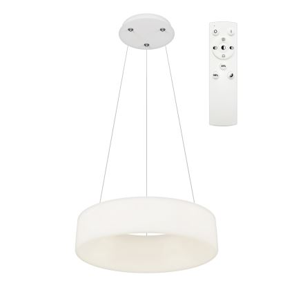 Top Light - LED Reguliuojama pakabinama lempa HALO LED/40W/230V 3000-6500K 44 cm + nuotolinis valdymas