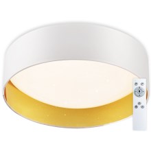 Top Light - LED Reguliuojamas lubinis šviestuvas LED/24W/230V + valdymo pultas baltas