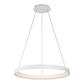 Top Light - LED Reguliuojamas pakabinamas sietynas ORBIT LED/40W/230V 3000-6500K diametras 50 cm balta + nuotolinio valdymo pultas