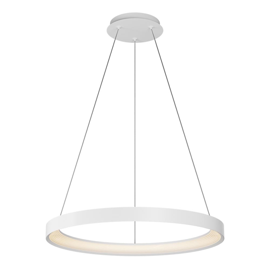 Top Light - LED Reguliuojamas pakabinamas sietynas ORBIT LED/40W/230V 3000-6500K diametras 50 cm balta + nuotolinio valdymo pultas