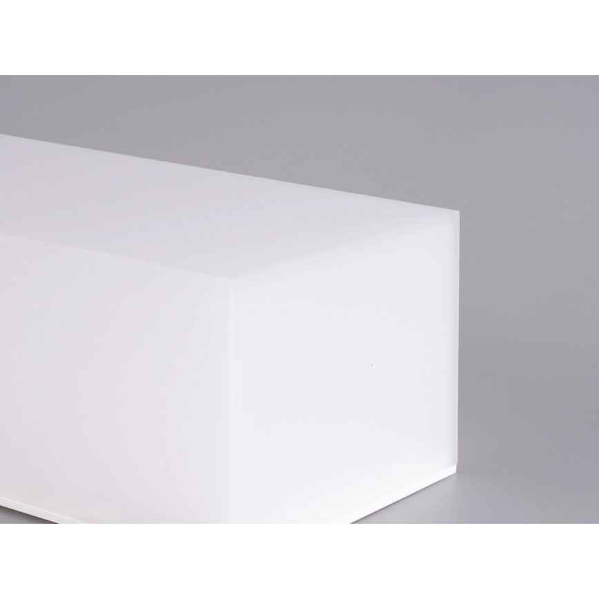 Top Light - LED Sieninis vonios šviestuvas BOXTER LED/12W/230V IP65 4000K