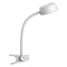 Top Light - LED Stalinė lempa su spaustuku LED/4,5W/230V balta