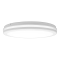 Top Light - LED vonios kambario lubinis šviestuvas COMET LED/40W/230V 3000/4000/6500K IP54 baltas Ø 40 cm