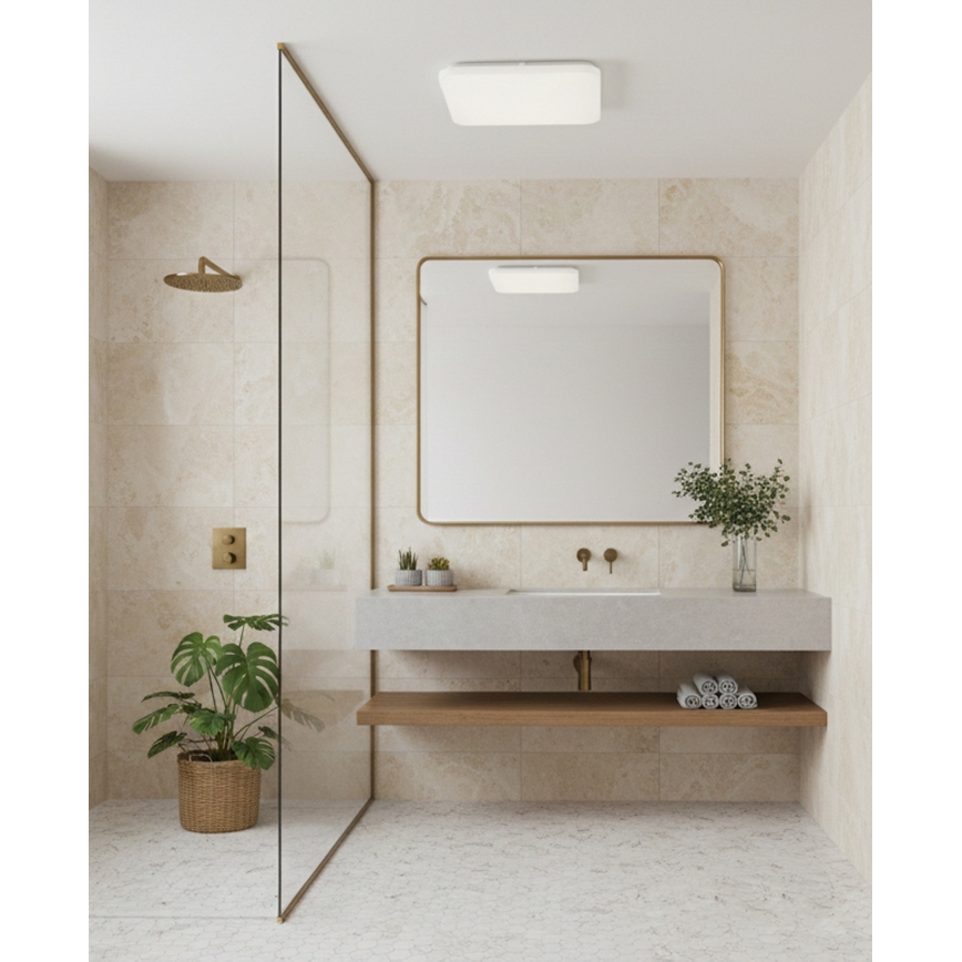 Top Light - LED vonios kambario lubinis šviestuvas DUNAJ LED/18W/230V 3000/4000/6500K IP44 27,5x27,5 cm balta
