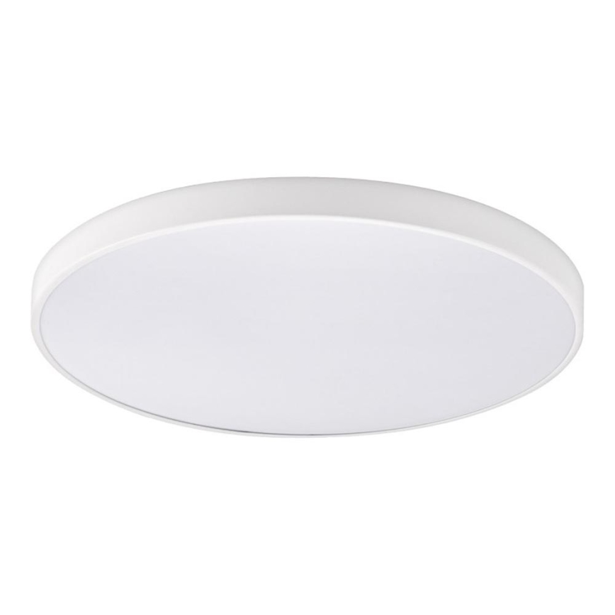 Top Light - PETAL dimeriuojamas vonios kambario lubinis LED šviestuvas 60W/230V 3000-6500K IP44 skersmuo 59 cm balta + nuotolinis valdymas
