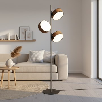 Toršeras DRUMZ 3xE14/10W/230V rudas