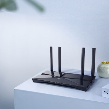 TP-Link - Dviejų juostų Wi-Fi 6 maršrutizatorius