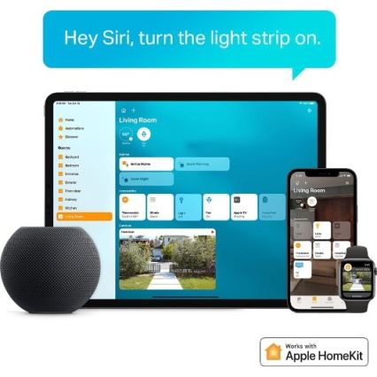 TP-Link - LED RGBW reguliuojama juosta 5 m LED/13W/230V Wi-Fi